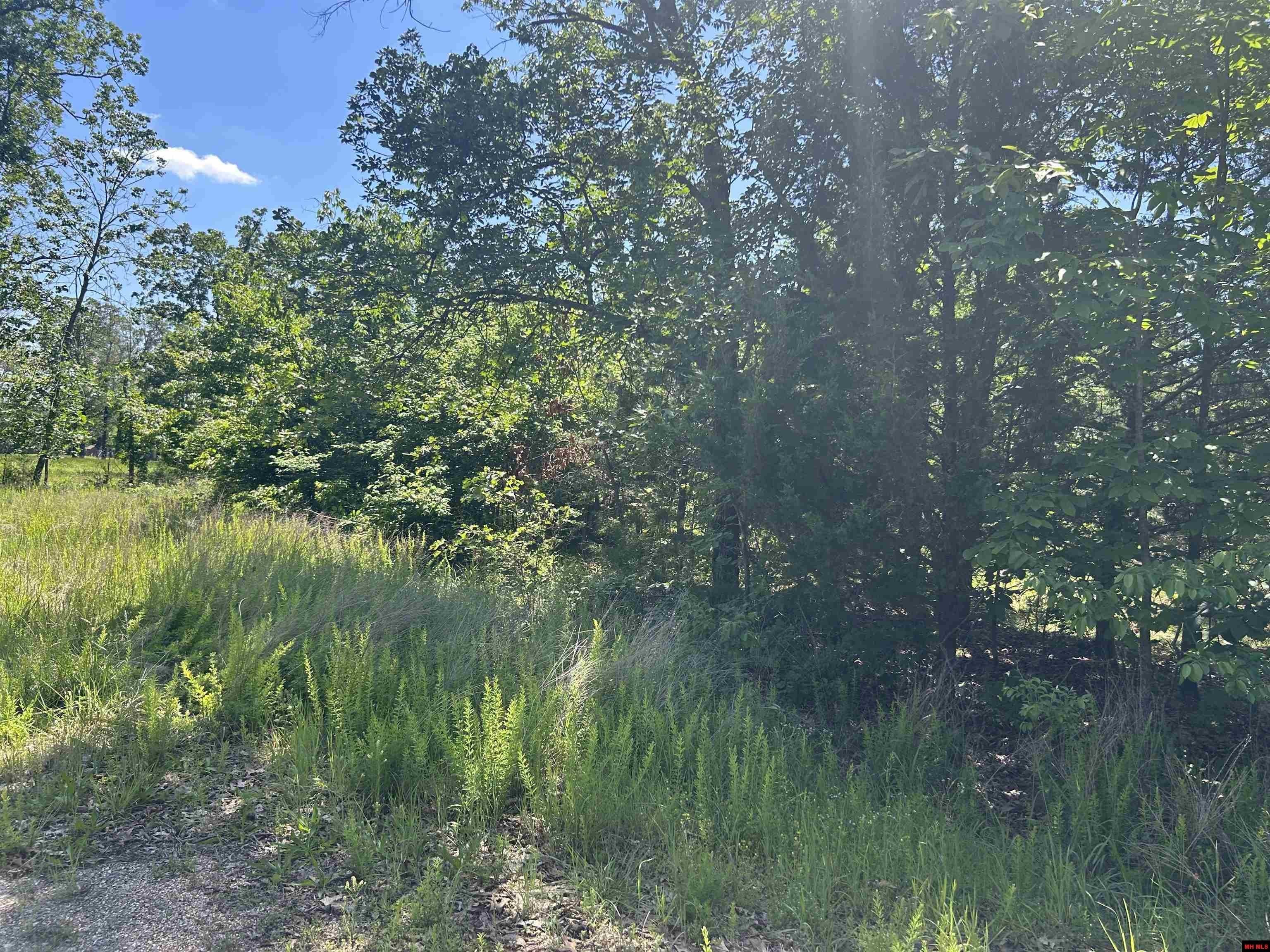 Two Acres Wooded Land