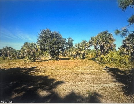 Land, Naples, FL