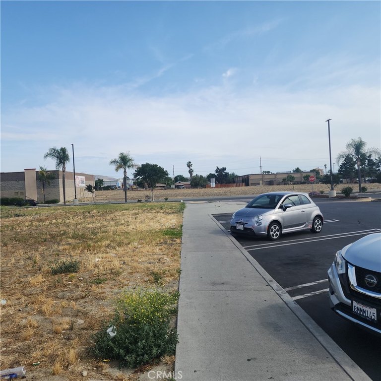 Picture 6