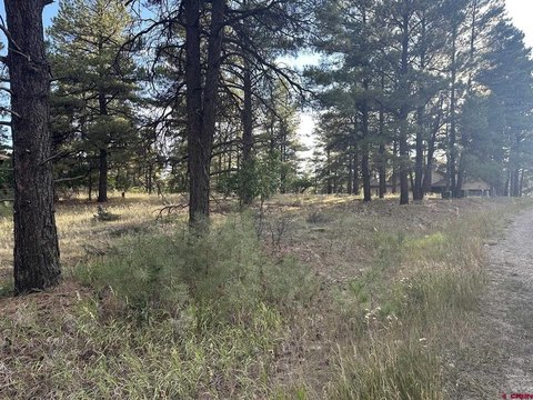 LAND, Pagosa Springs, CO