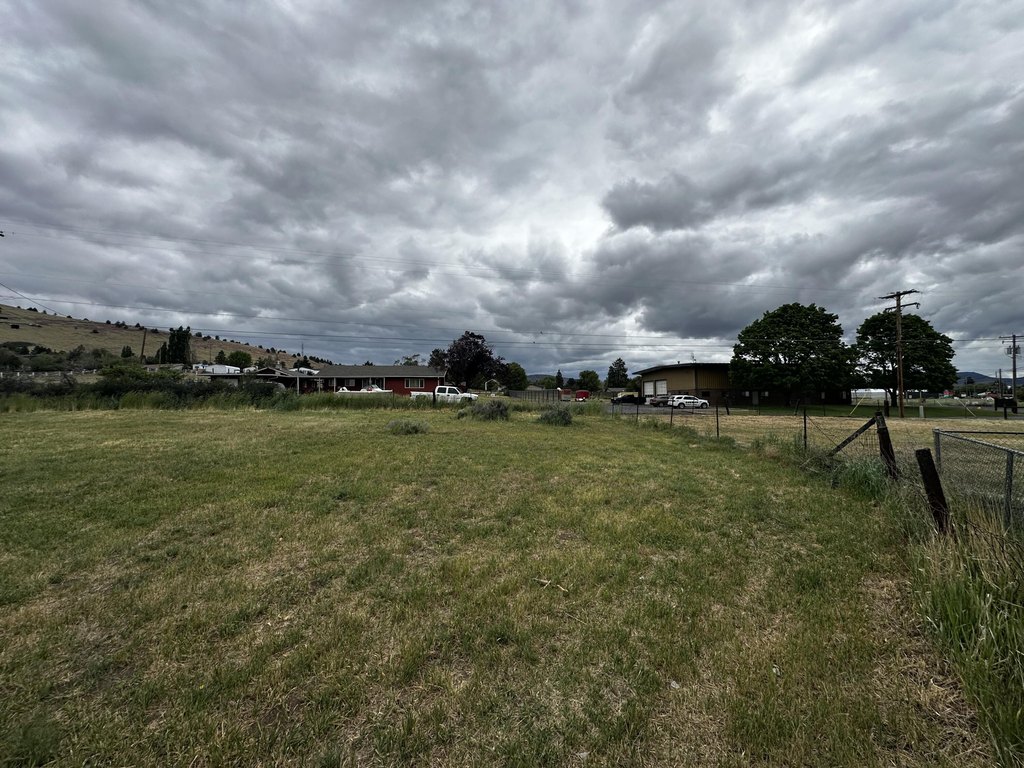 Picture 12