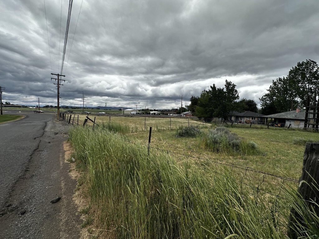Picture 21