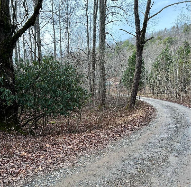 Picture 14