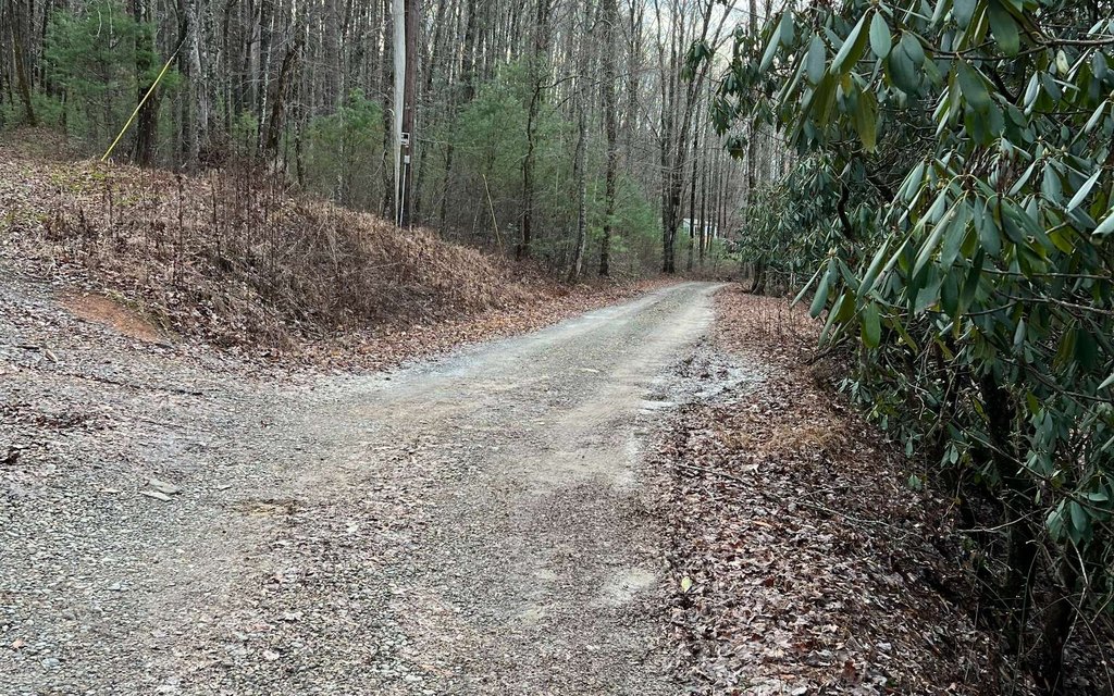 Picture 13