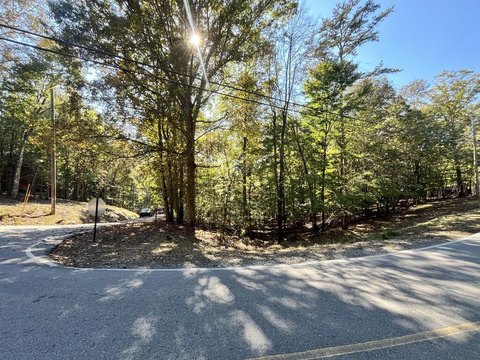 Vacant Lot, Ellijay, GA