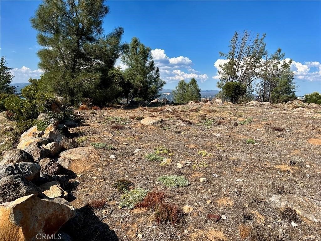 Picture 19