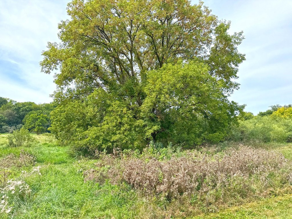 Picture 4