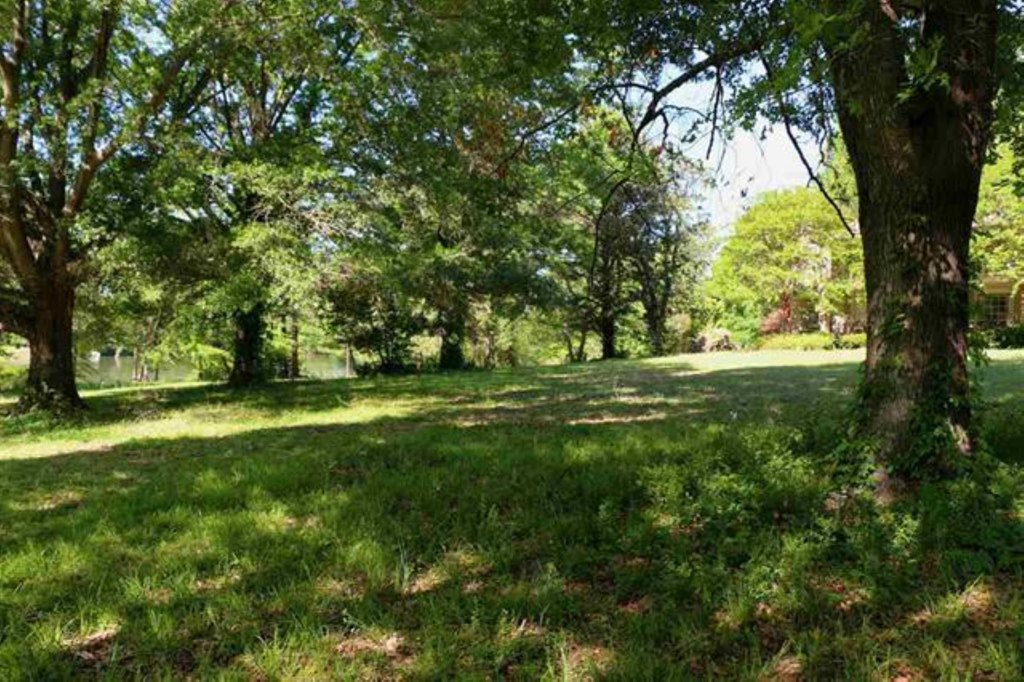 Picture 10