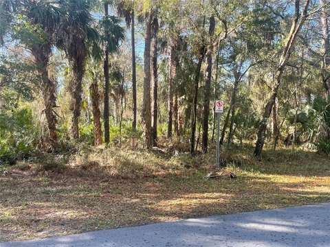 Residential Lot in Crystal River