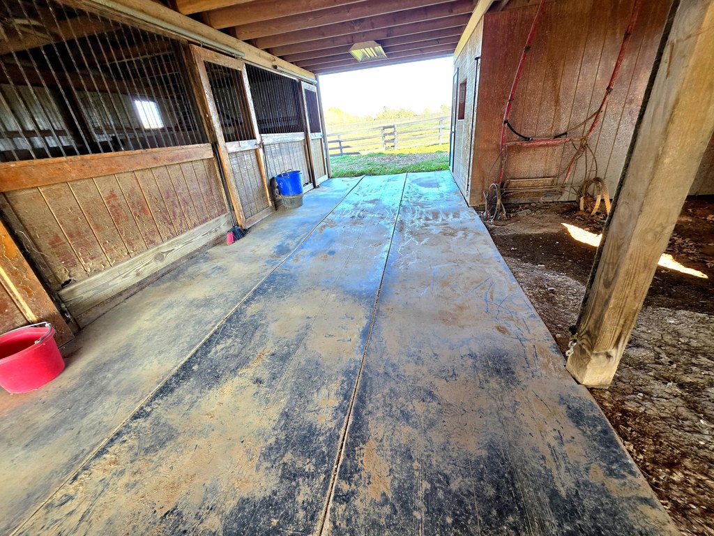 Picture 18