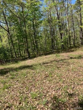 LAND - Potosi, MO