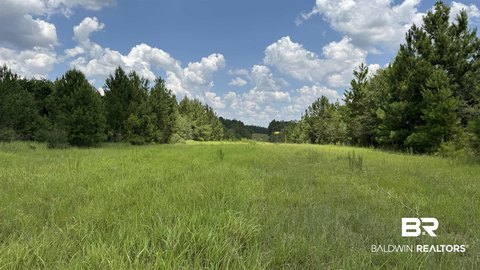Hunting Land with Creek