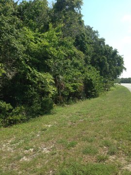 Titusville Land with Development Potential