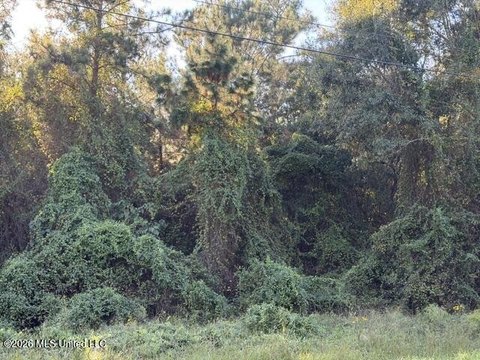 Land, Saucier, MS