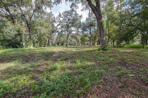 Land, WEBSTER, FL