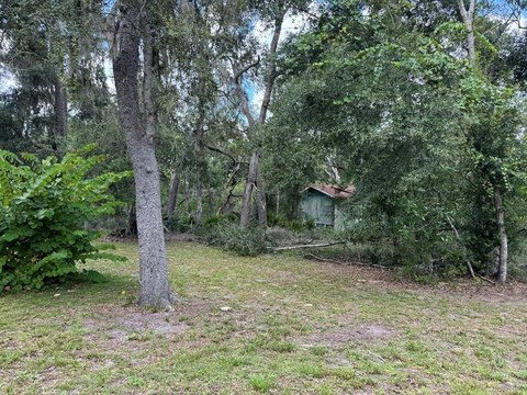 Wooded Land Near Suwannee River