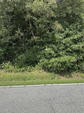 Hunting Land Tract with Road Utilities