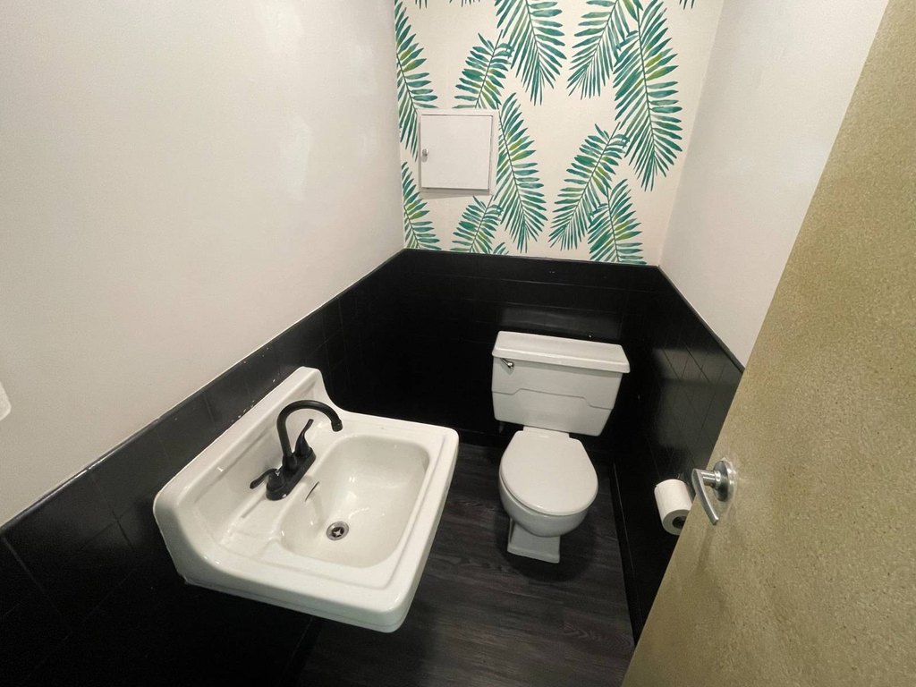 Picture 3