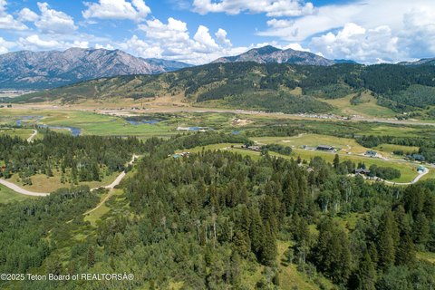 Wyoming Land Bordering National Forest