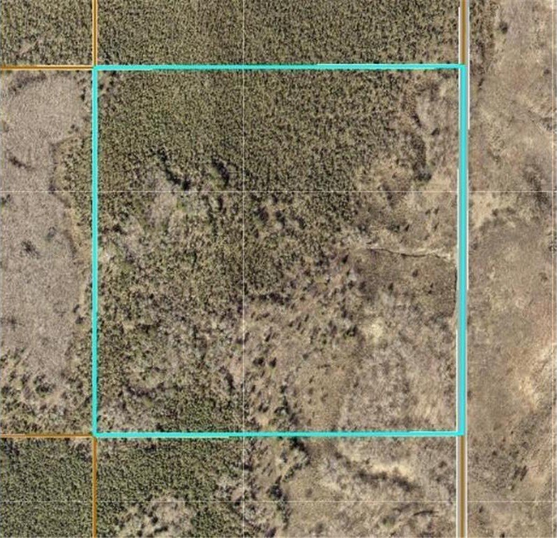 Untouched Land Adjacent to State