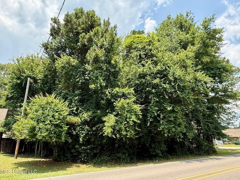 Diamondhead Wooded Residential Lot