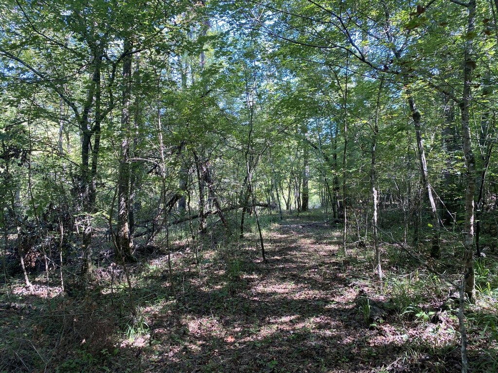 Picture 16