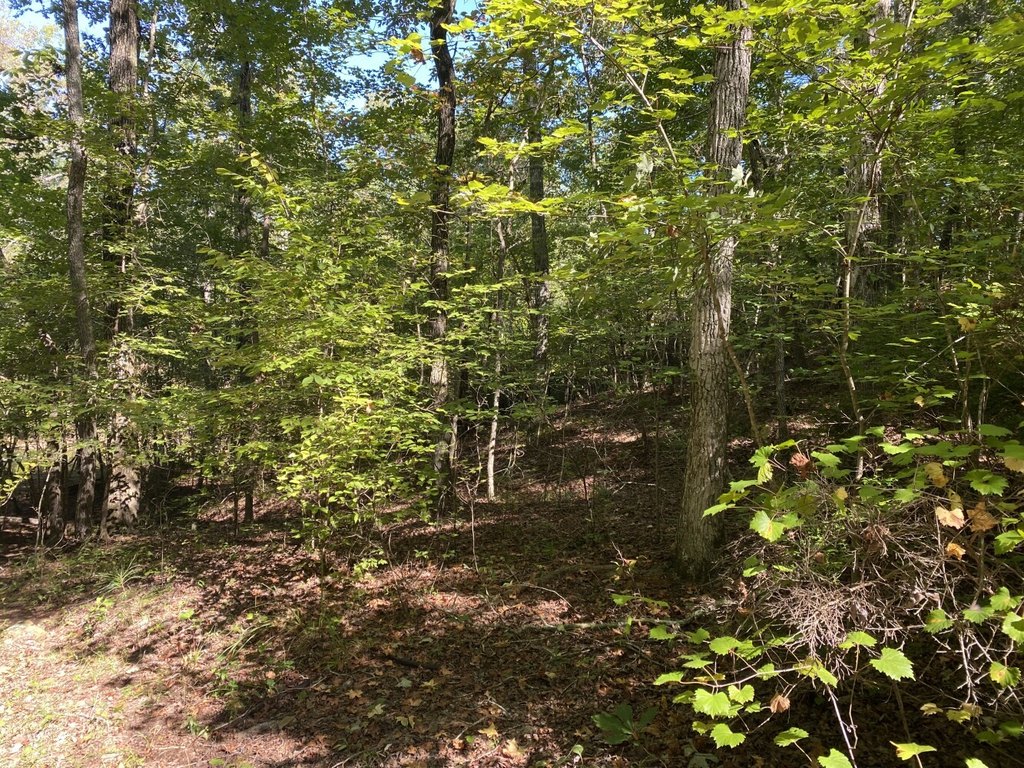 Picture 17