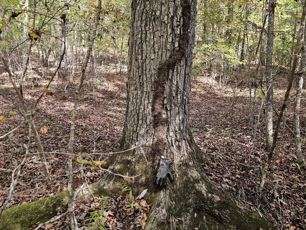 Picture 31