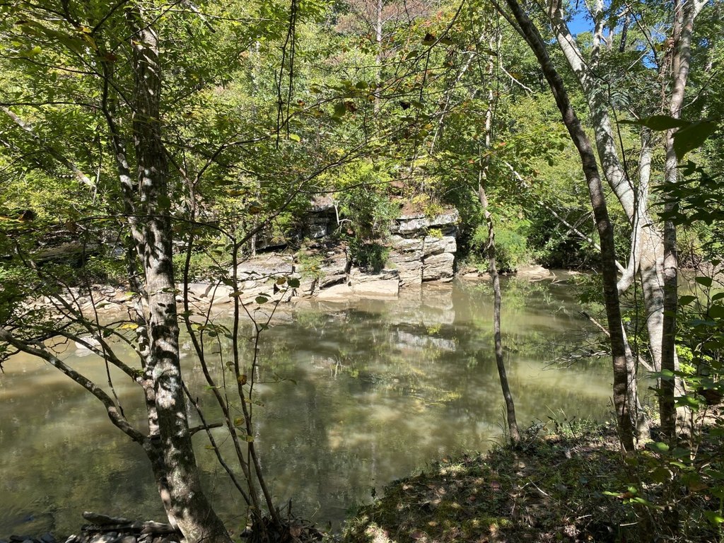 Picture 3
