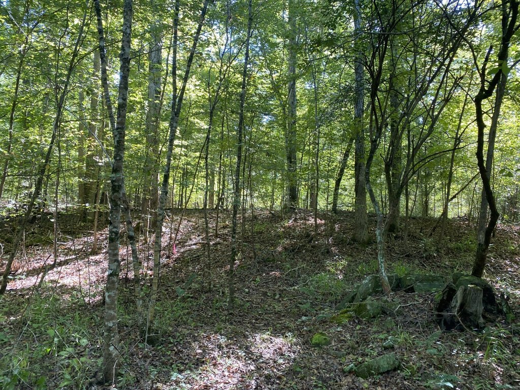 Picture 15