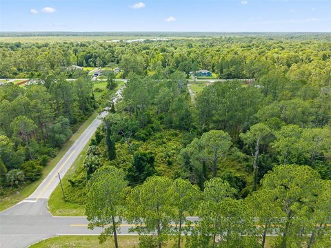 Land - EUSTIS, FL