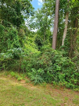 Residential Land in Anchor Lake