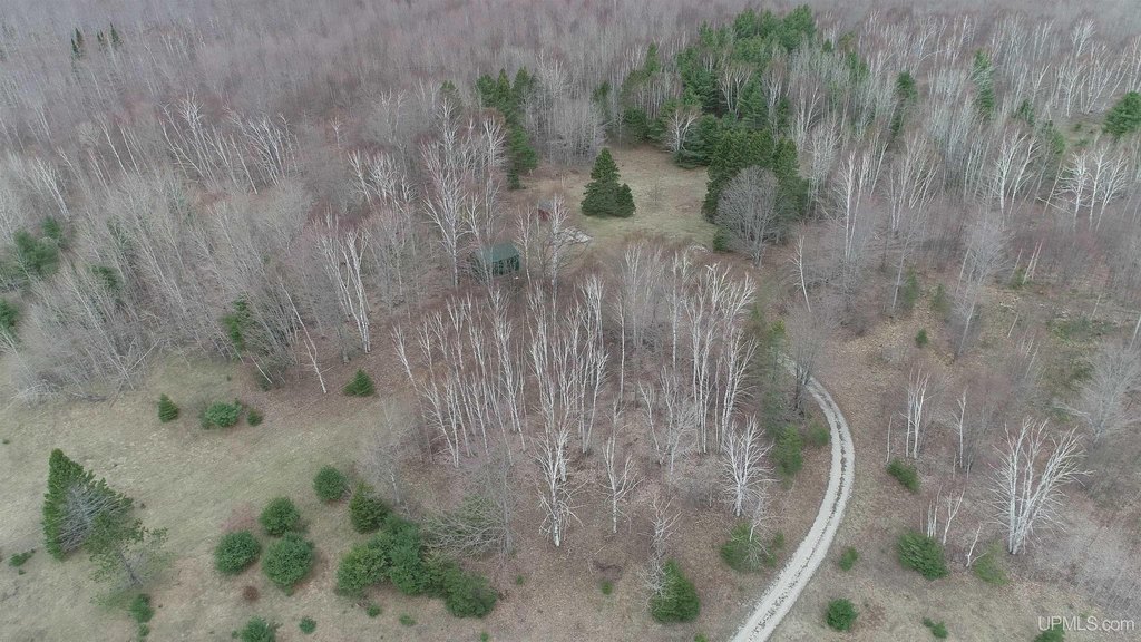 Picture 68