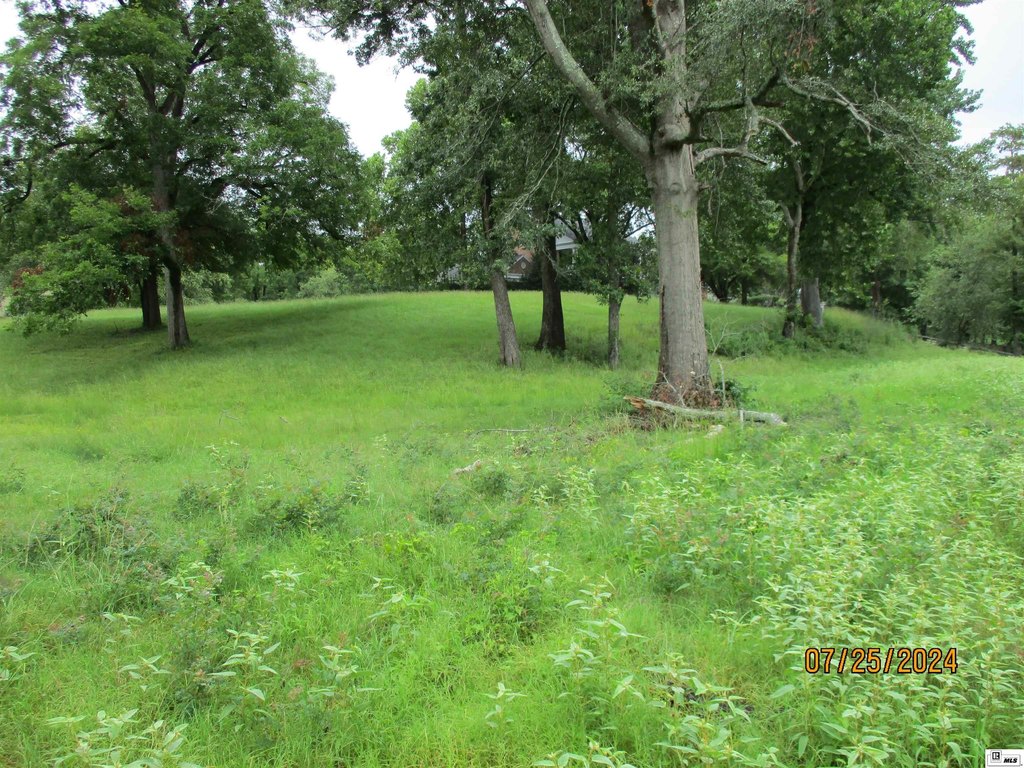 Picture 8