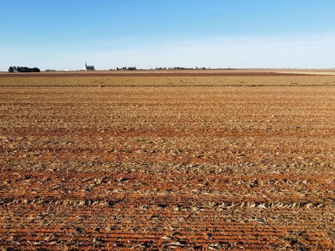 Land, Ropesville, TX