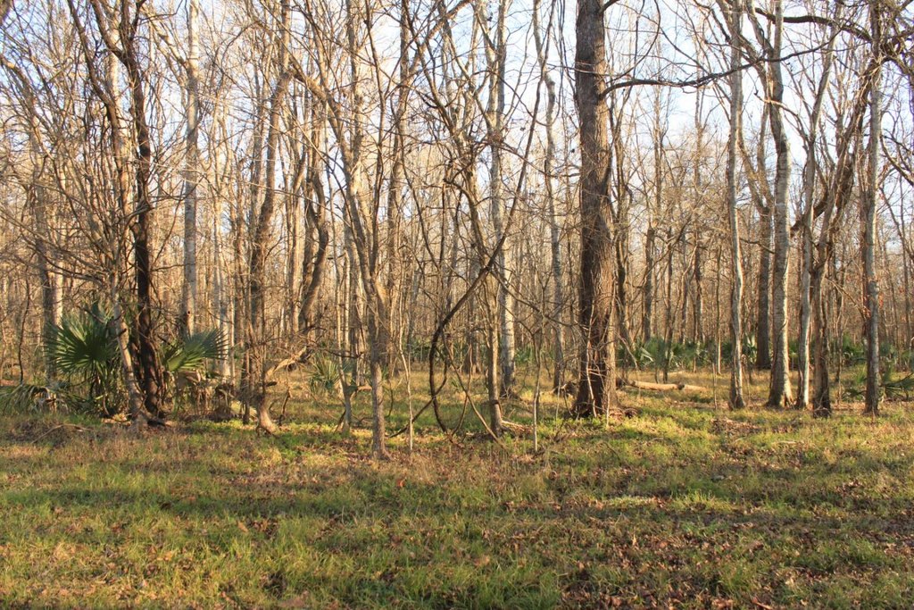 Picture 8