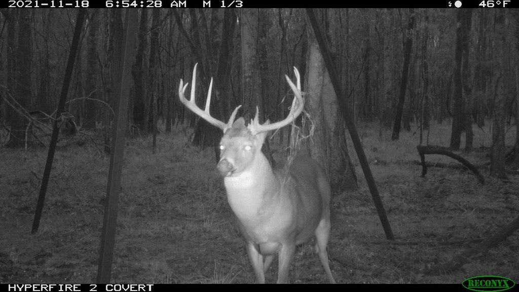 Picture 5