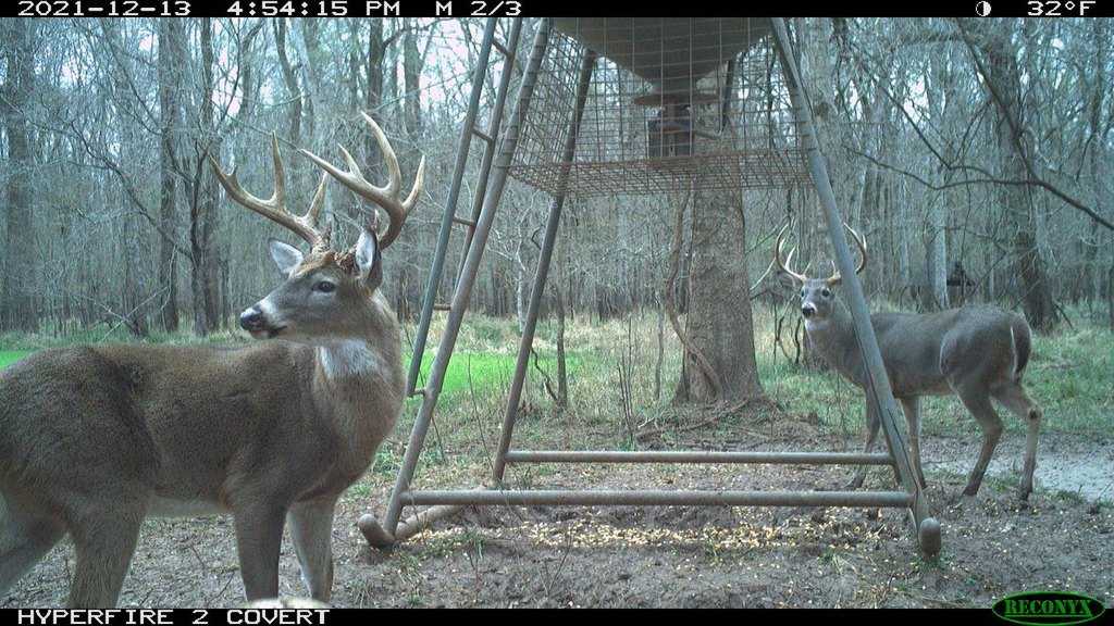 Picture 2
