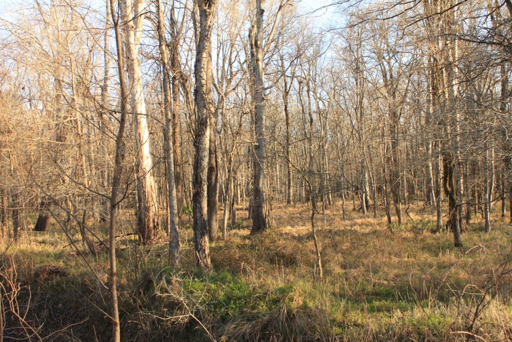 Picture 11