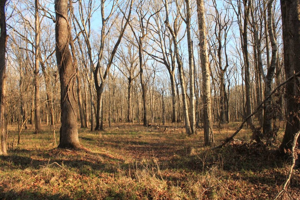 Picture 9