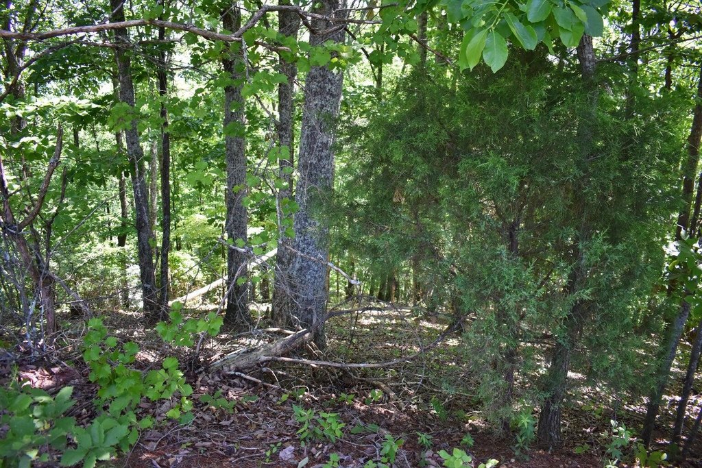 Picture 17