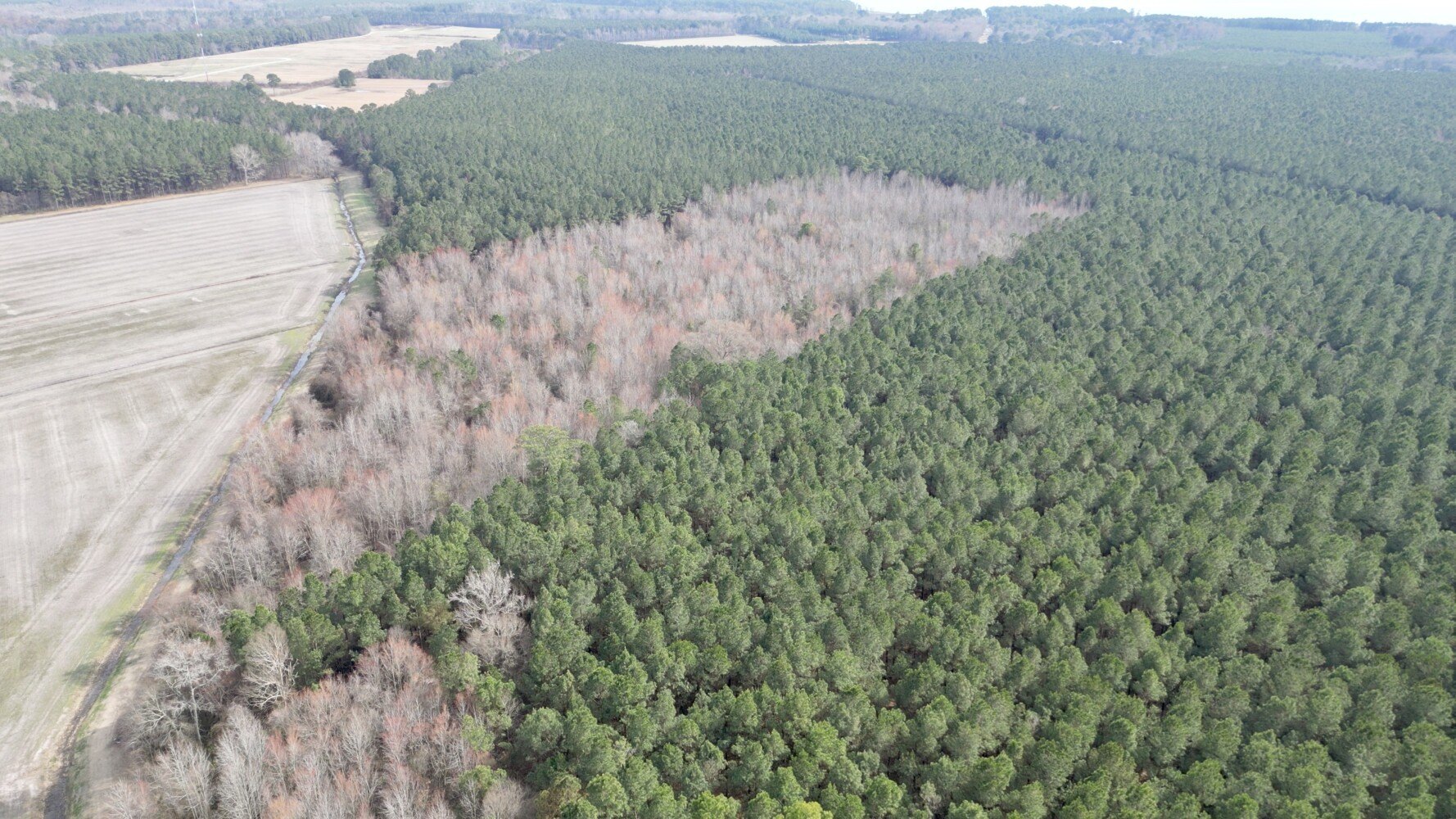 22 Acres Hunting/Recreation Land