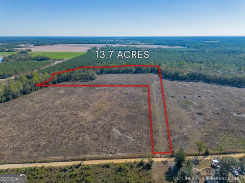 Cleared Land in Mershon, Georgia