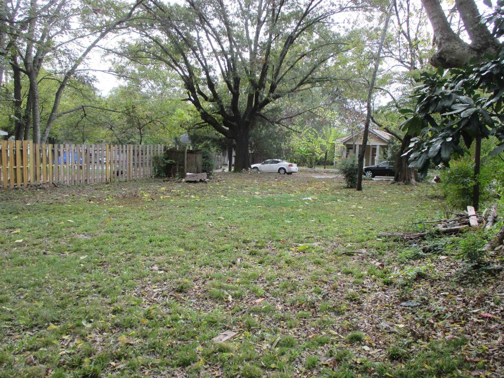 Picture 16