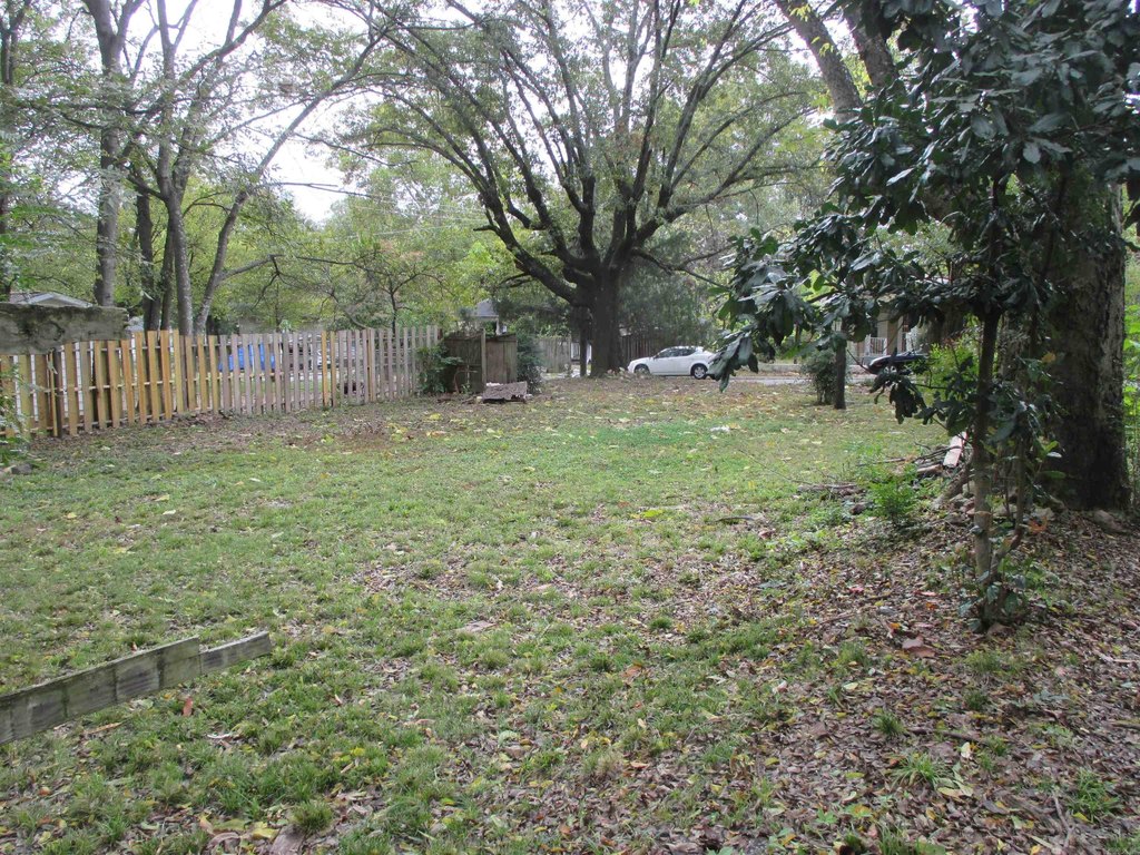 Picture 14