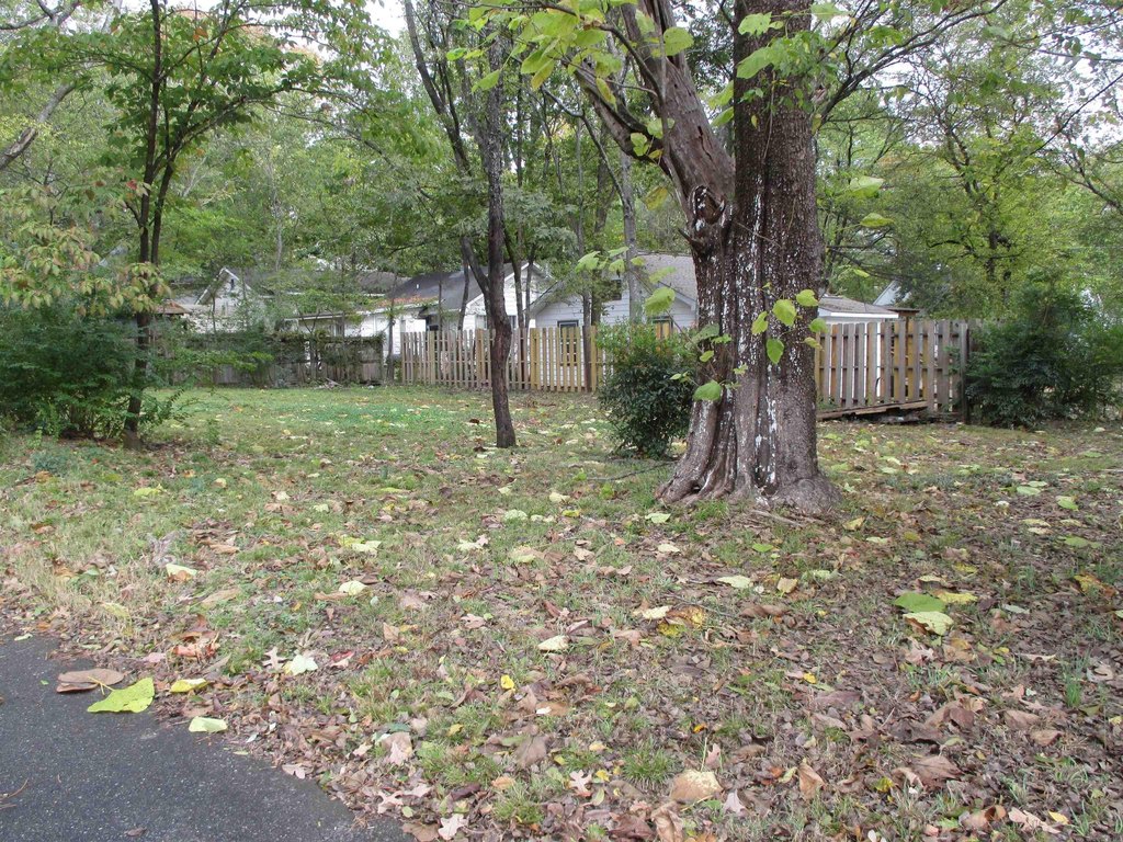 Picture 12