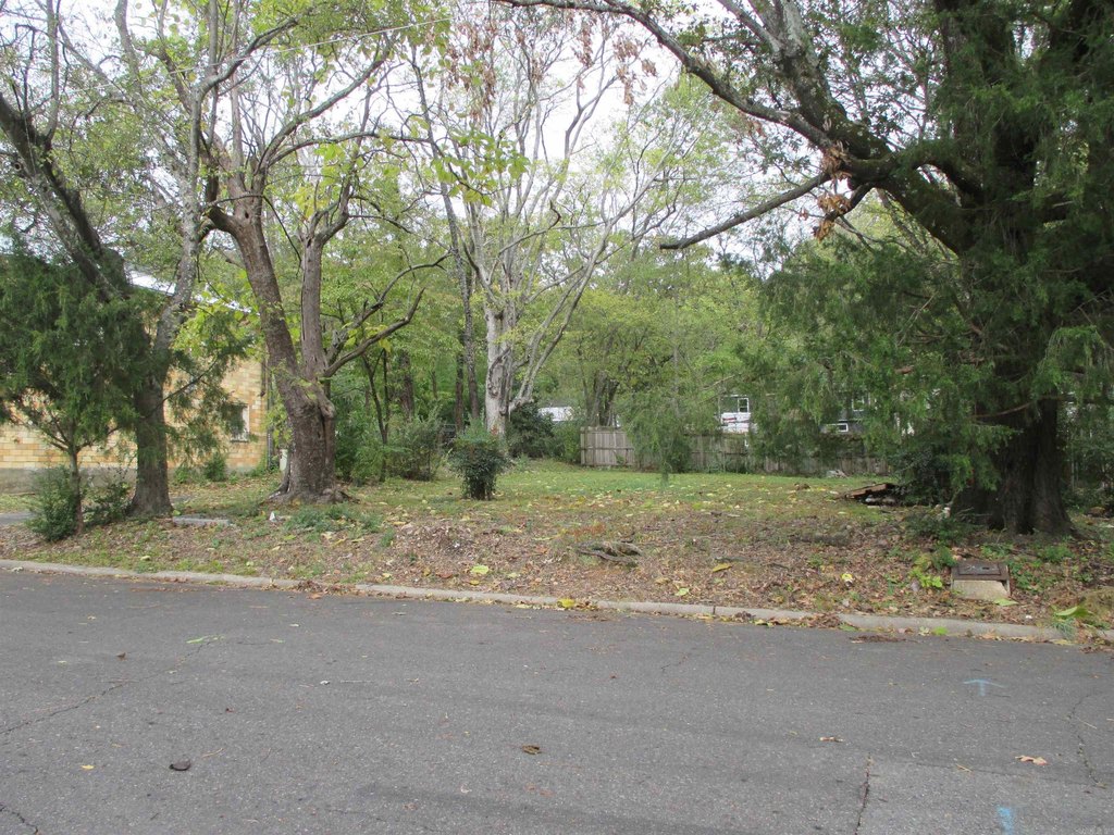 Picture 18