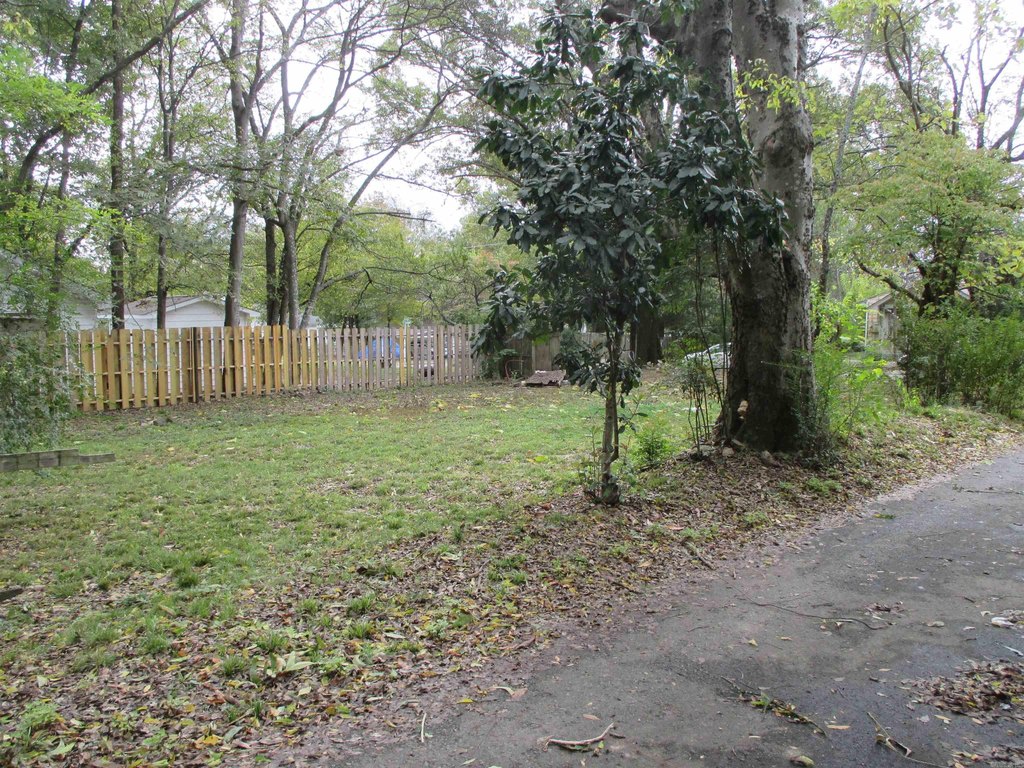 Picture 10