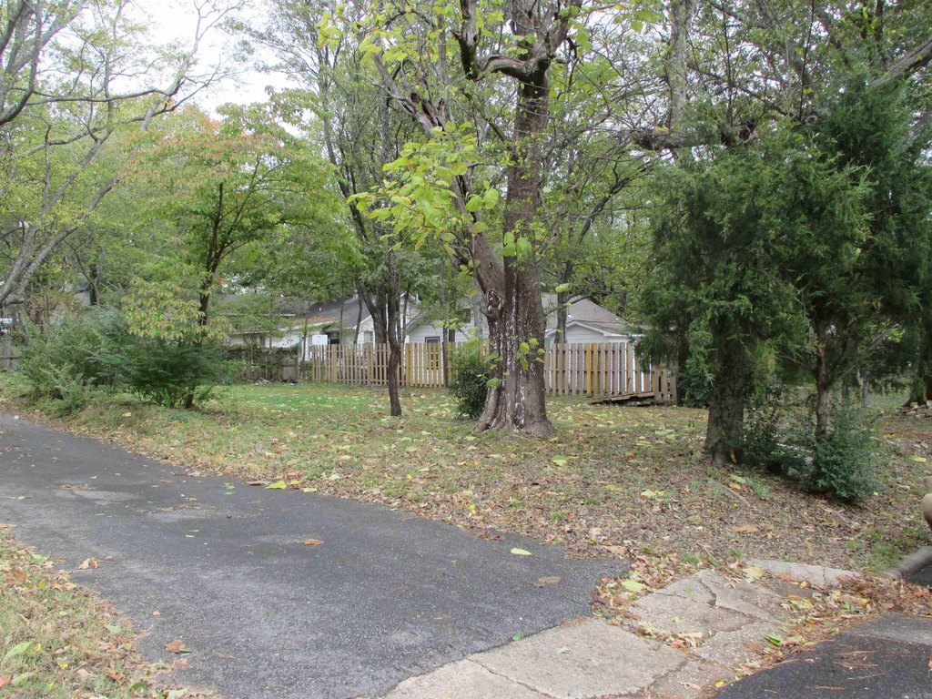 Picture 9