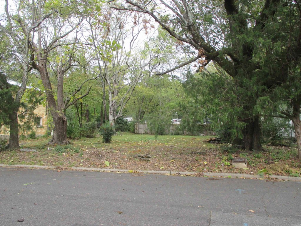 Picture 19